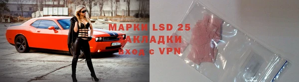 дживик Новозыбков
