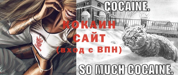 мяу мяу мука Дмитров