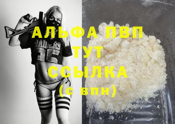 гидра Новодвинск