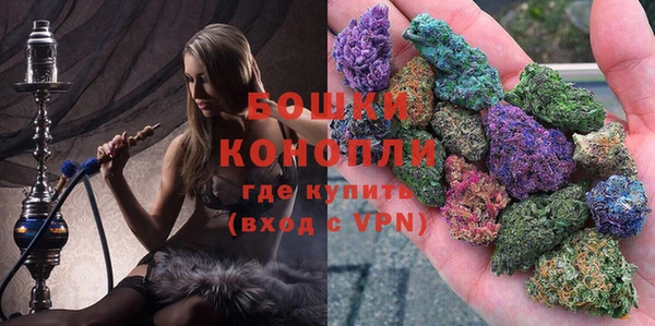 дживик Новозыбков