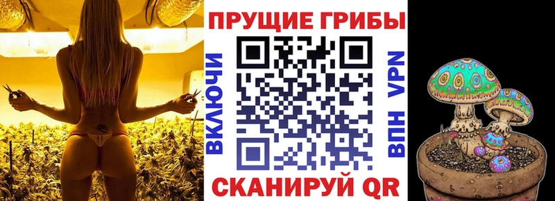 Псилоцибиновые грибы MAGIC MUSHROOMS  даркнет сайт  сайты даркнета формула  Павловск 